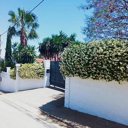 Las Palmeras Alberic Exterior photo