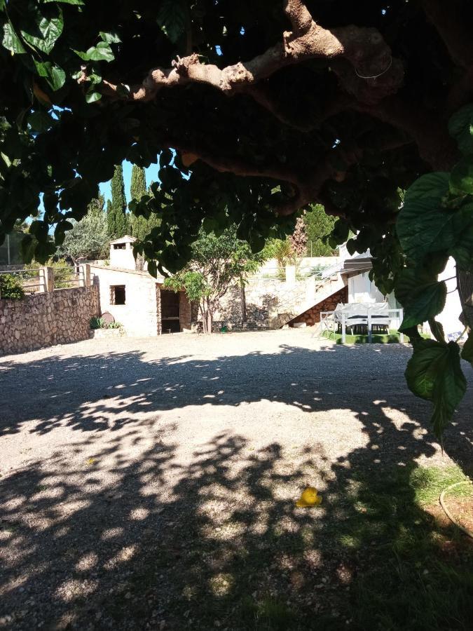 Las Palmeras Alberic Exterior photo
