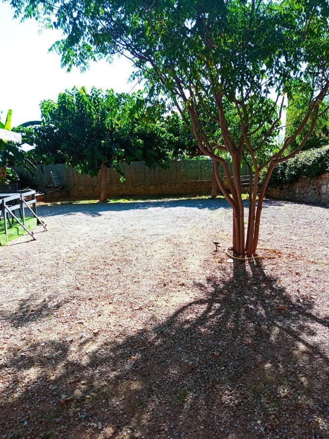 Las Palmeras Alberic Exterior photo