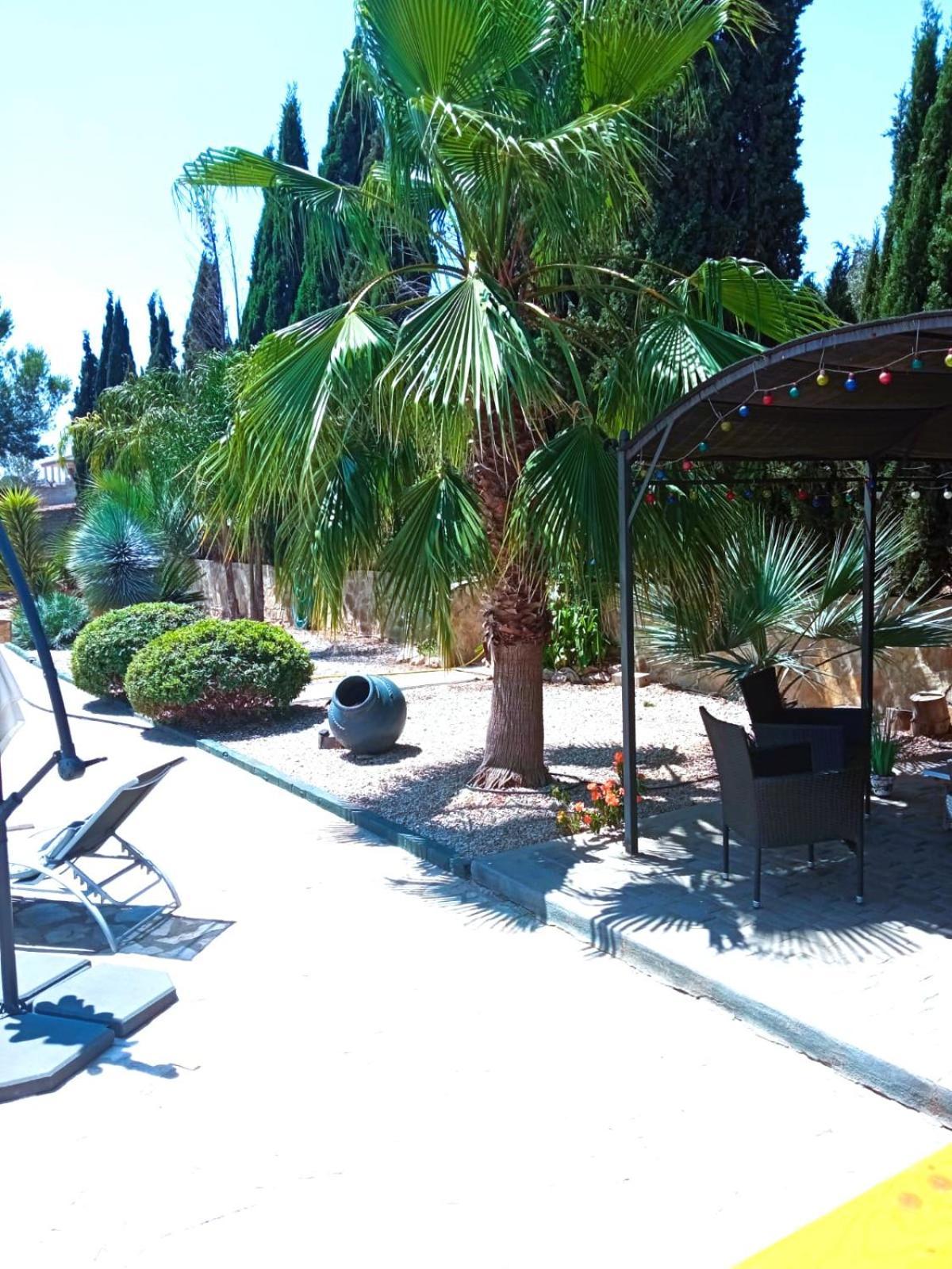 Las Palmeras Alberic Exterior photo