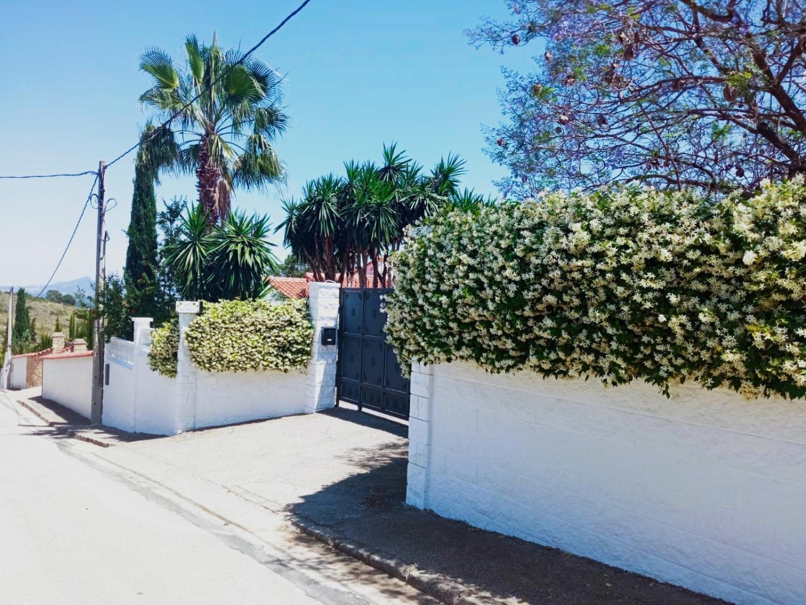 Las Palmeras Alberic Exterior photo