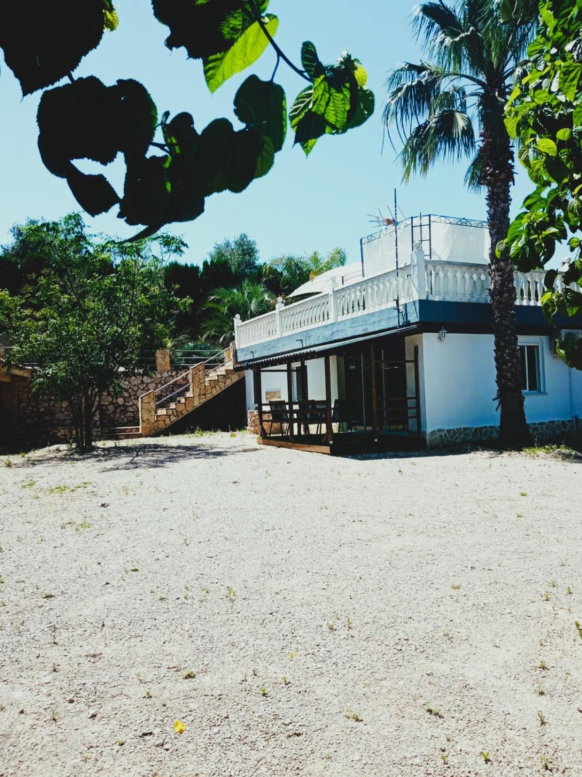 Las Palmeras Alberic Exterior photo