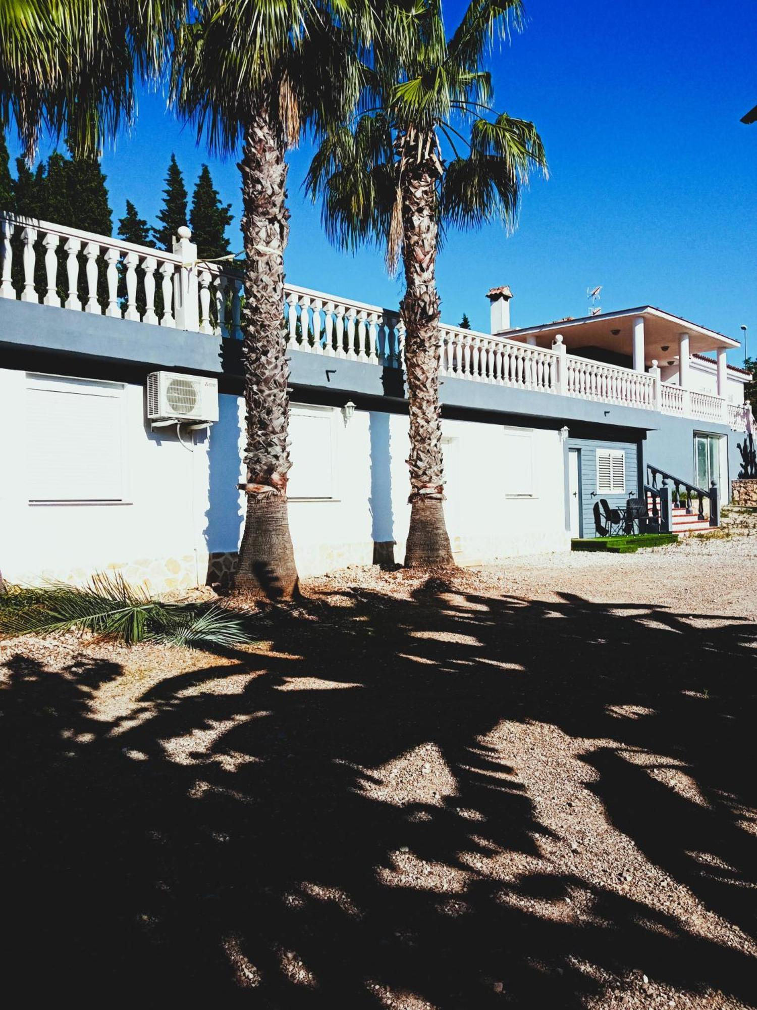 Las Palmeras Alberic Exterior photo